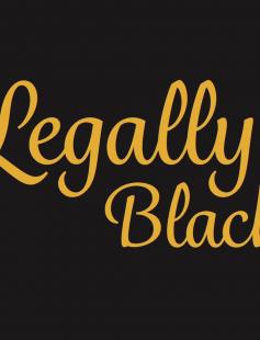 Poster of Legally Black
