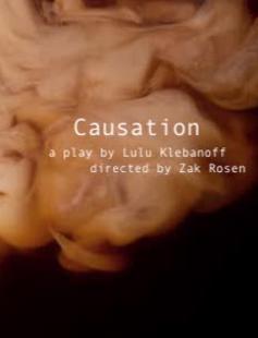 Causation A play written by Lulu Klebanoff and directed by Zak Rosen
