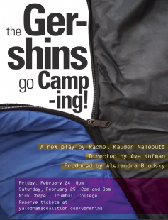 Poster of The Gershins Go Camping