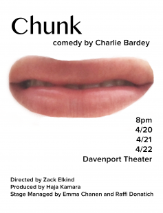 Poster of Chunk