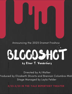 BLOODSHOT Poster