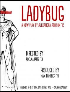 Poster of Ladybug