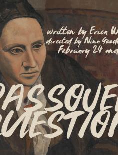 Poster of The Passover Question