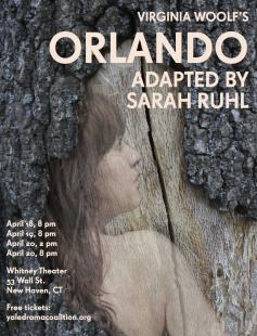 Poster of Orlando