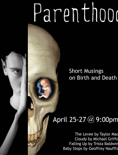 Poster of Parenthood: Short Musings on Birth and Death