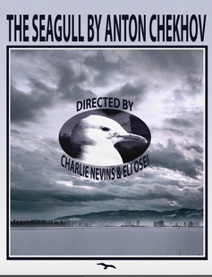 A poster for The Seagull