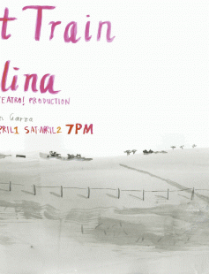 Poster of Night Train to Bolina