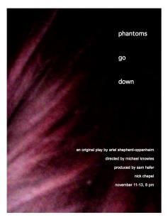 Poster of Phantoms Go Down