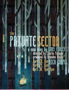 Poster of The Private Sector