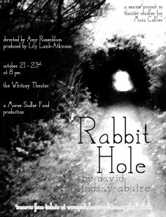 Poster of Rabbit Hole