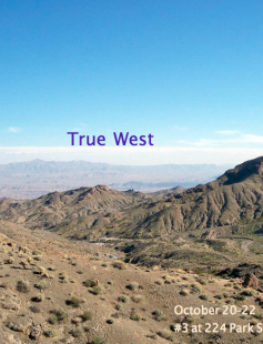 Poster of True West