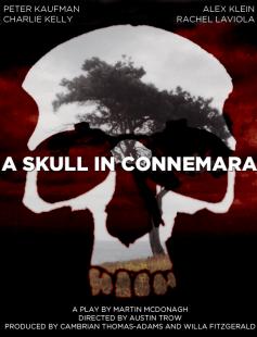 Poster of A Skull in Connemara