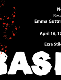 Poster of Bash