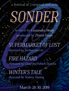 Sonder poster