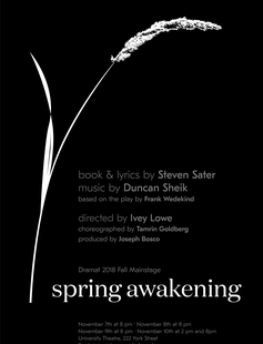 Spring Awakening poster