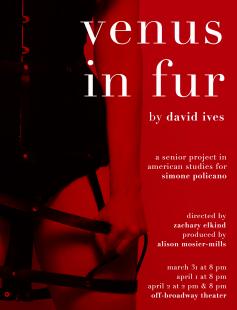 Poster of Venus in Fur