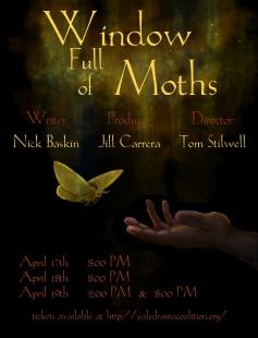 Poster of Window Full of Moths