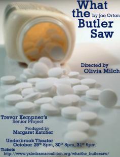 Poster of What The Butler Saw