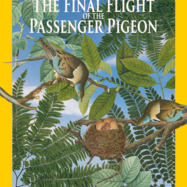 Poster for The Final Flight of the Passenger Pigeon by Hank Graham